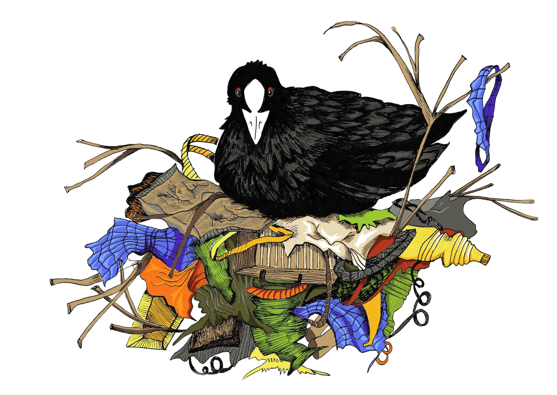 Coots as Partners in Circular Care